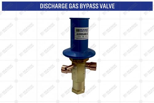 DISCHARGE GAS BYPASS VALVE